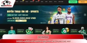 DOM88