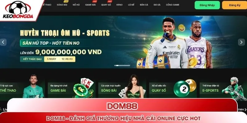 DOM88